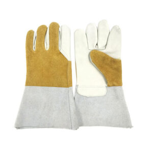 gang-tay-da-han-gtbh-627668