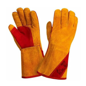 gang-tay-da-han-gtbh-627670